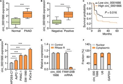 Silencing of circRNA circ_0001666 Represses EMT in Pancreatic Cancer Through Upregulating miR-1251 and Downregulating SOX4